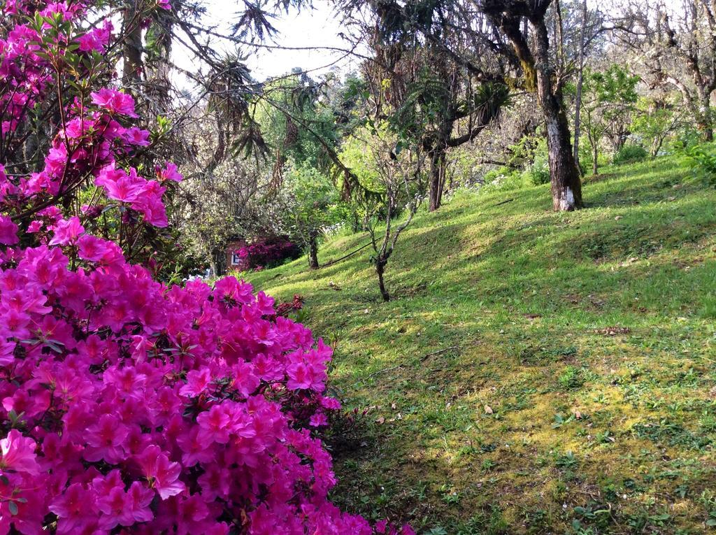 Sitio Nossa Senhora De Loreto Campos do Jordão Esterno foto