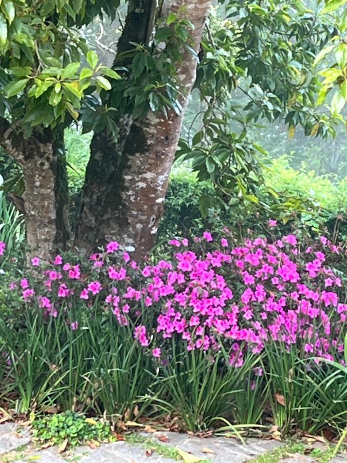 Sitio Nossa Senhora De Loreto Campos do Jordão Esterno foto